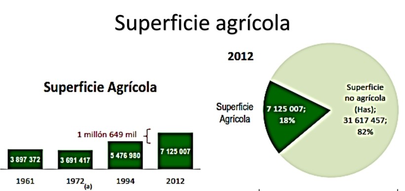 Fuente: Censo Nacional Agropecuario 2012
