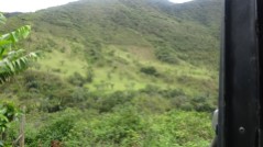Mientras en Colombia la naturaleza hace su labor de riego, en Perú se debe considerar como una partida adicional el riego por parte de las comunidades donde se desarrolla el proyecto